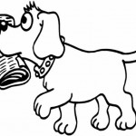 Imundo cão
