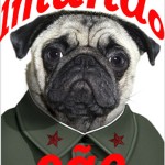 Imundo-cão-coreia