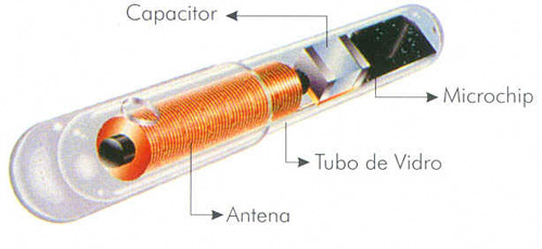 Tablets para Todos e Gestão Disruptiva 1