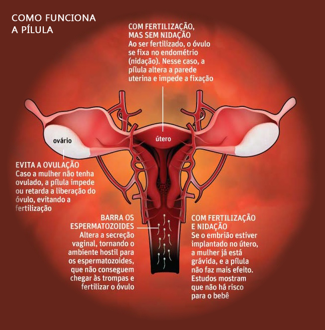 como-funciona-a-pílula-do-dia-seguinte